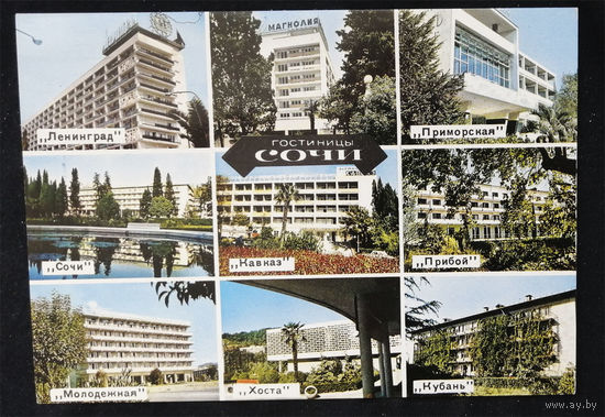 Сочи. Трест гостиниц. Гостиницы Сочи. Виды. Чистая #0027-V2P14