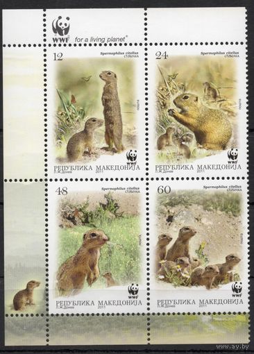 Македония 2011. Фауна суслик. 4 марки сцепка (610)
