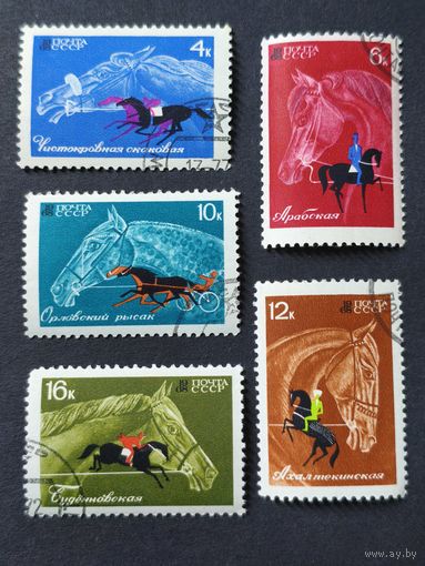 1968 СССР. Коневодство и конный спорт в СССР. Полная серия