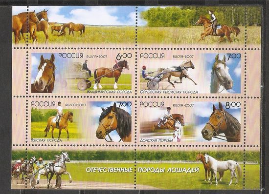 ФФ1 Россия 2007 Лошади