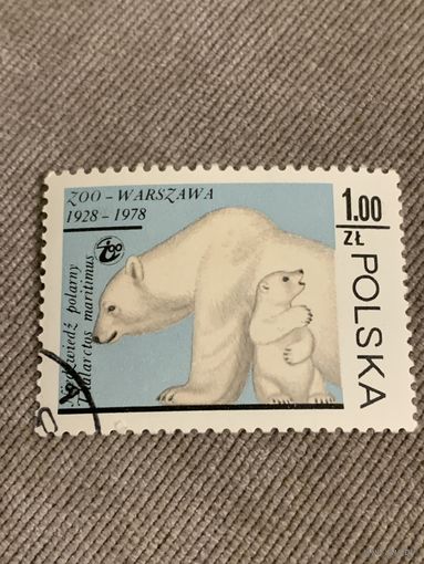 Польша 1978. 50 летие Варшавского зоопарка. Белые медведи. Марка из серии