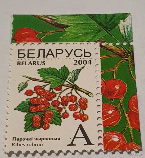 Ягоды 2004 год