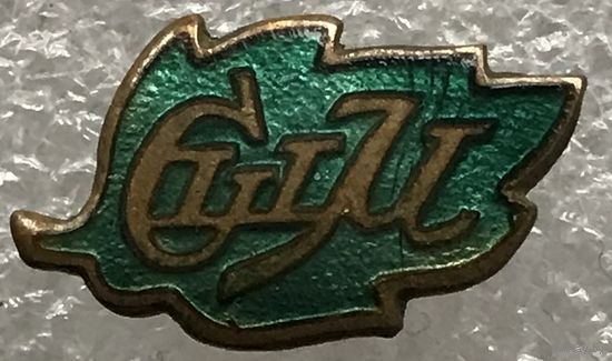 СШМ СПОРТИВНАЯ ШКОЛА МОЛОДЕЖИ