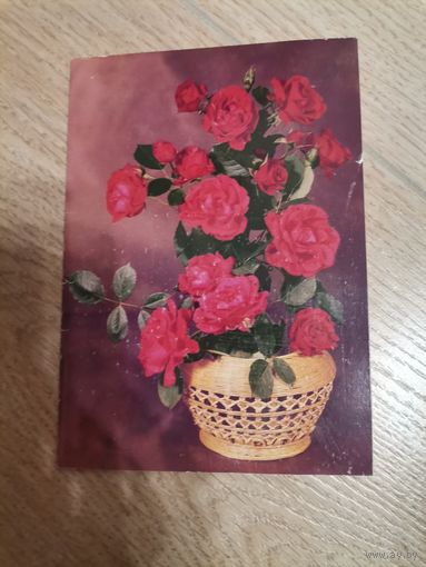 Открытка СССР 1990 фото. Круцко