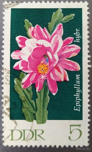 ГДР 1970 цветы 2 из 6