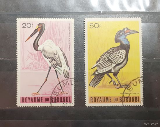 Бурунди. Фауна. Птицы (442)
