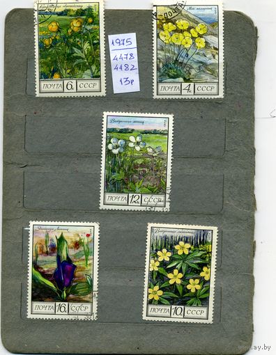 СССР, 1974,ФЛОРА СССР,  5м