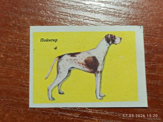 Спичечная этикетка Пойнтер