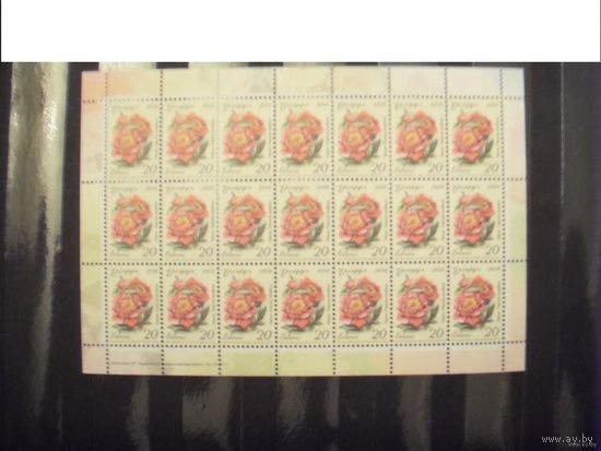 Беларусь лист 20 рублевой марки с заказом 43-2011 флора MNH **