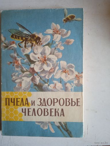 Пчела и здоровье человека