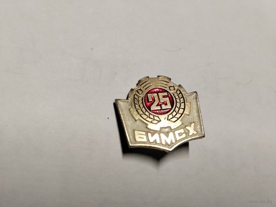 БИМСХ 25 лет
