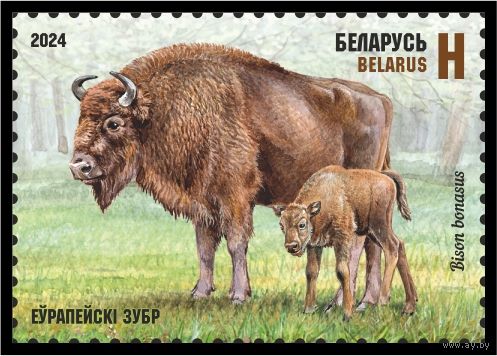 2024г Беларусь MNH  "Европейский зубр"