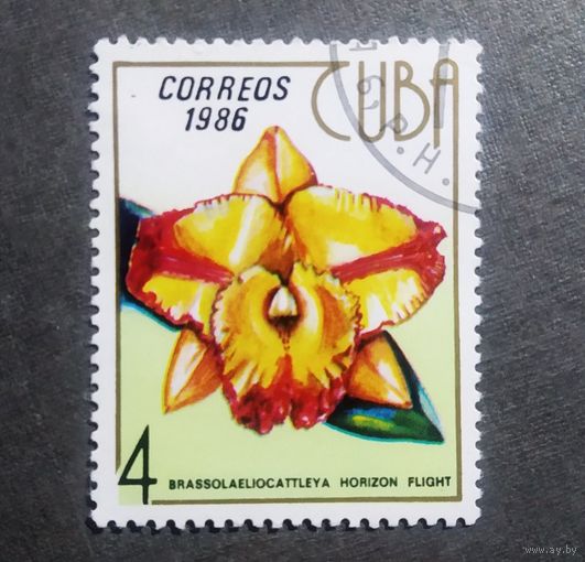 Марка Куба 1986 год Цветы