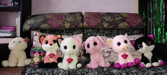 Животные коты мягкие игрушки набор все сразу