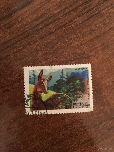 СССР 1975. Кабарга