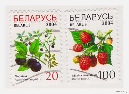 Беларусь 2004 Стандарт Ягоды