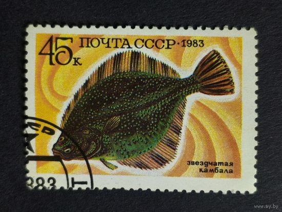 1983 СССР. Рыбы. Звездчатая камбала