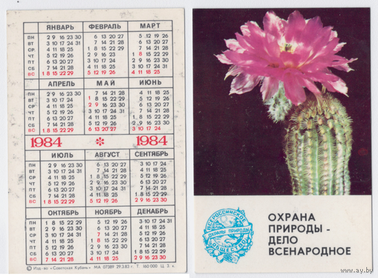 Календарь Охрана природы кактус 1984