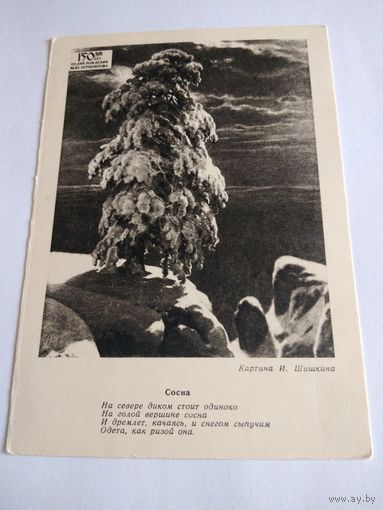 Открытка 1964г. И. Шишкин. Сосна.