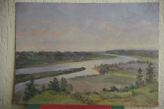 Картина  (  масло , картон )     49,5 х 35.5