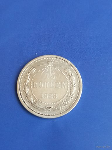 15 копеек 1923 год , серебро  (110)
