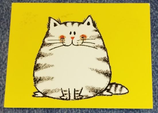 Кот. США, 2012