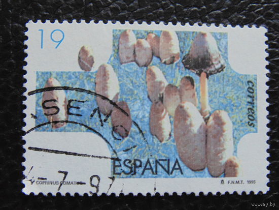 Испания 1985г. Грибы.