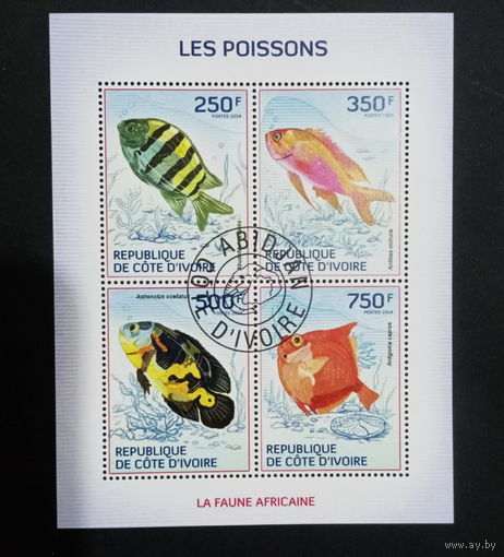 ФАУНА РЫБЫ МОРСКИЕ ОБИТАТЕЛИ    БЛОК  сто