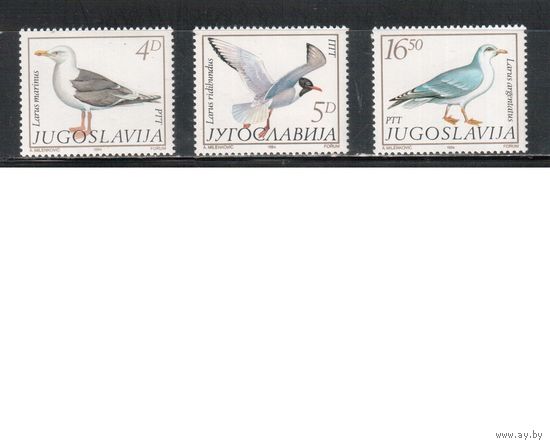 Югославия-1984,(Мих.2055-2057)  ** , Фауна, Птицы