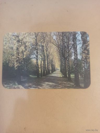 Календарь 1989/9