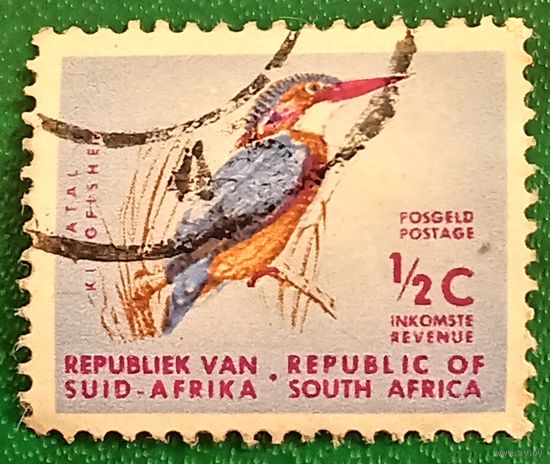 Южная Африка 1961. Африканский карликовый зимородок