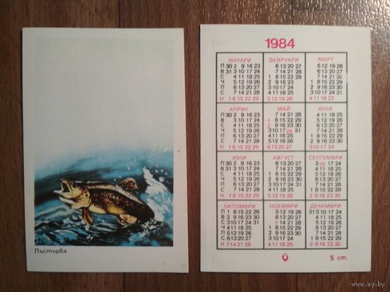 Карманный календарик. Рыба.1984 год