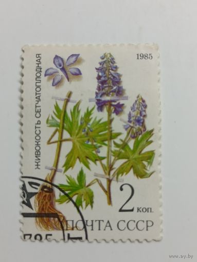 1985 СССР. Флора. Живокость сетчатоплодная