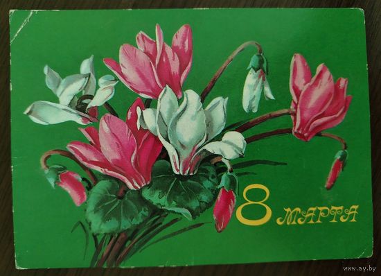 8 Марта 1978 Г. Куртенко Подписана