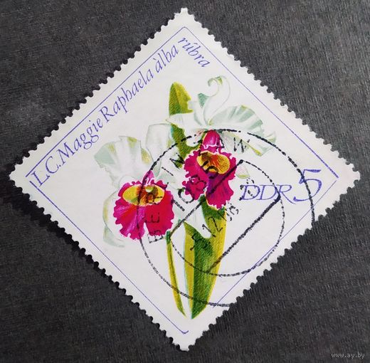 Марка ГДР 1968 Цветы