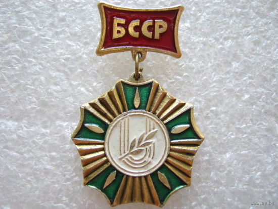 Спартакиада БССР, 3 место.