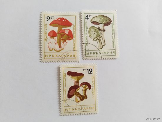 Болгария 1961 3м грибы