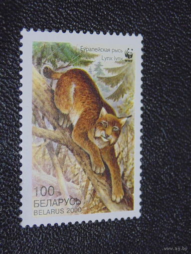 Беларусь 2000 г. Европейская рысь.