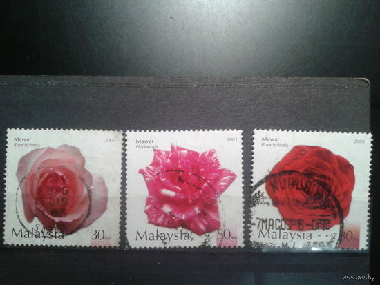 Малайзия, 2003. Розы