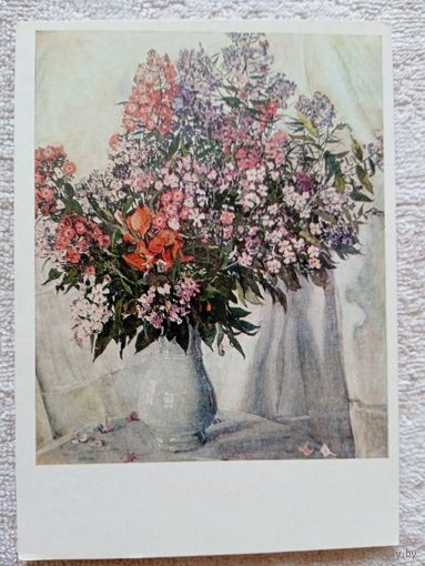 Головин. Флоксы