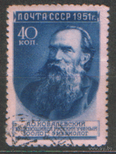 Заг. 1544. 1951. А.О. Ковалевский. ГаШ. 1 вып.