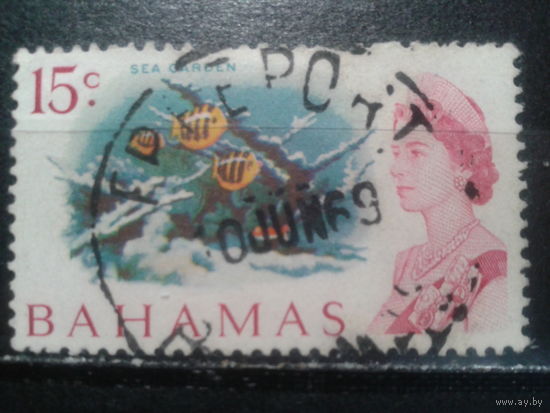 Багамы, колония Англии, 1967. Аквариумная стрекоза золотисто-полосатая и королева Елизавета II