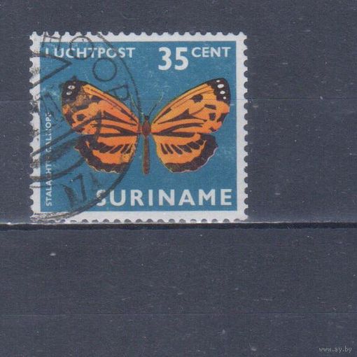 [390] Суринам 1972. Фауна.Бабочка. Гашеная марка.