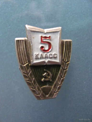 5 класс. Школьный значок