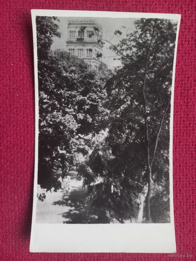 Гомель. Парк культуры и отдыха им. Луначарского. ГУУЗ МПС г. Гомель. 1957 г. Чистая.