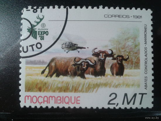 Мозамбик, 1981. Международная выставка охоты в Пловдиве, вертолет и животные