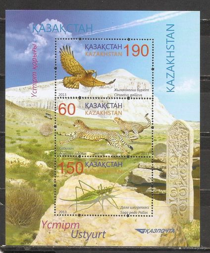 ФФ3 Казахстан 2013 Фауна