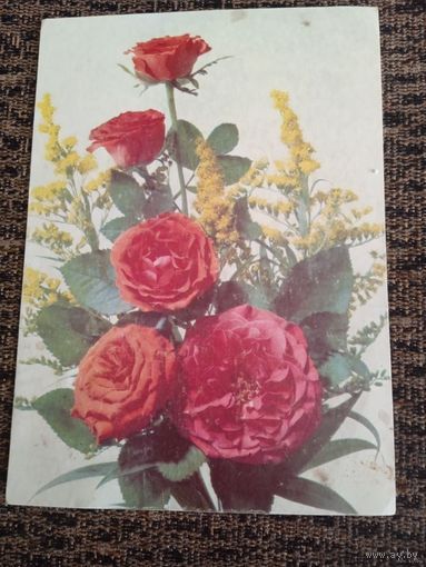 Цветы.фото Дергилева. 1990г