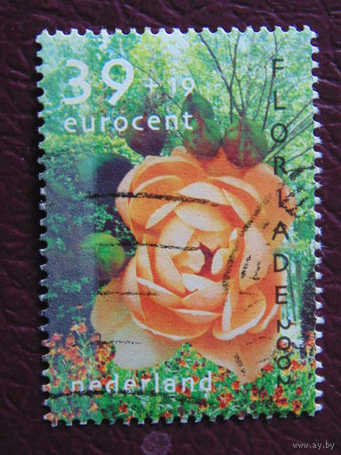 Нидерланды 2002 г. Цветы.