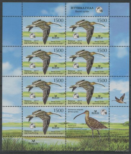 Беларусь 2011 #866. Лист Птица года. Большой кроншнеп (10500 руб)